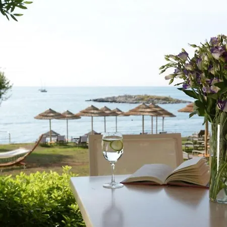 Modern Amoroso With Pool In Porec 别墅 *