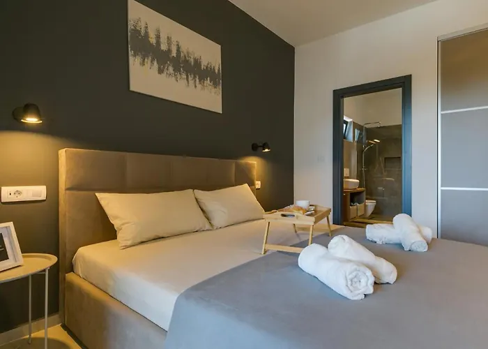 Vila Modern Amoroso With Pool In Porec