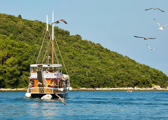 Vila Modern Amoroso With Pool In Porec